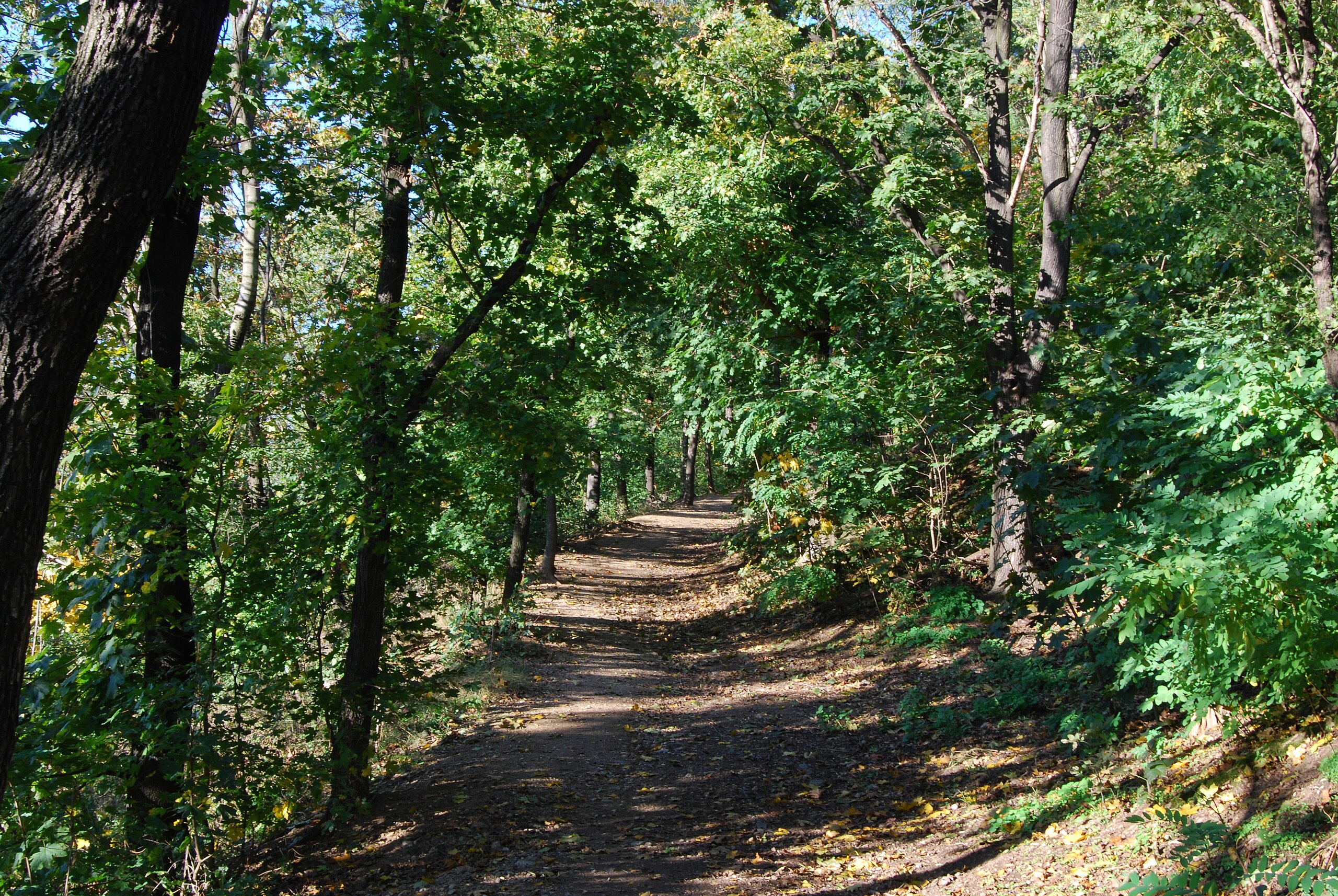 Brno-Žabovřesky_-_Wilsonův_les_1